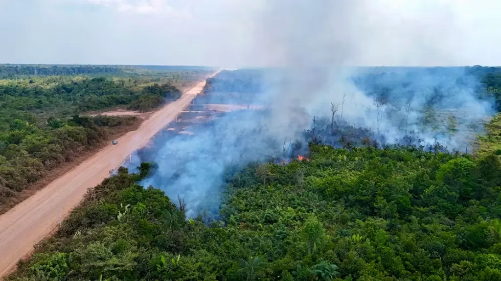 Aerial view of a road cutting through the Amazon rainforest with fires burning